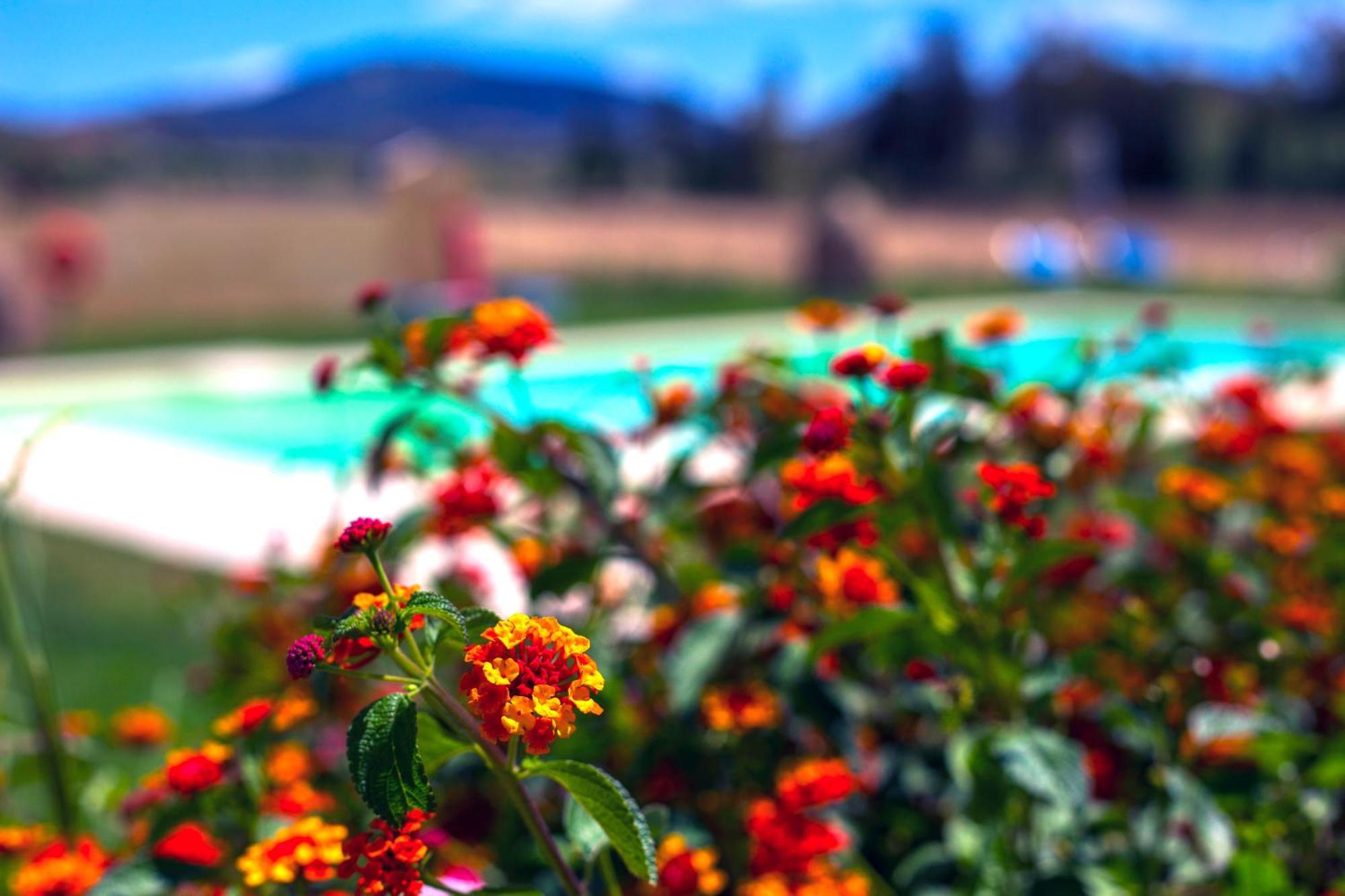 Agriturismo Piperedda Irgoli Экстерьер фото